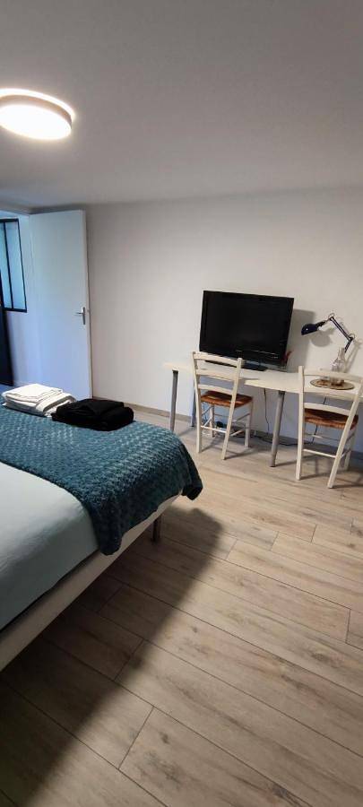 Gîte pour 2 personnes, avec jardin et jacuzzi, animaux acceptés à Monistrol-sur-Loire - 4