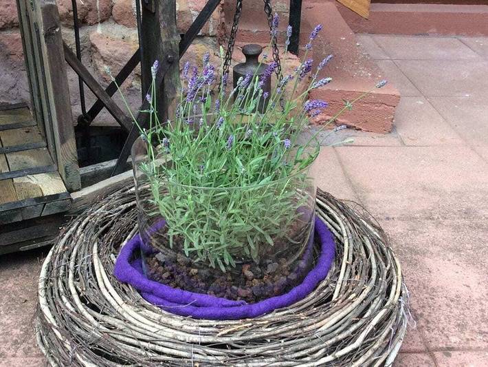 Ferienhaus für 4 Personen, mit Sauna und Garten im Dahner Felsenland - 2