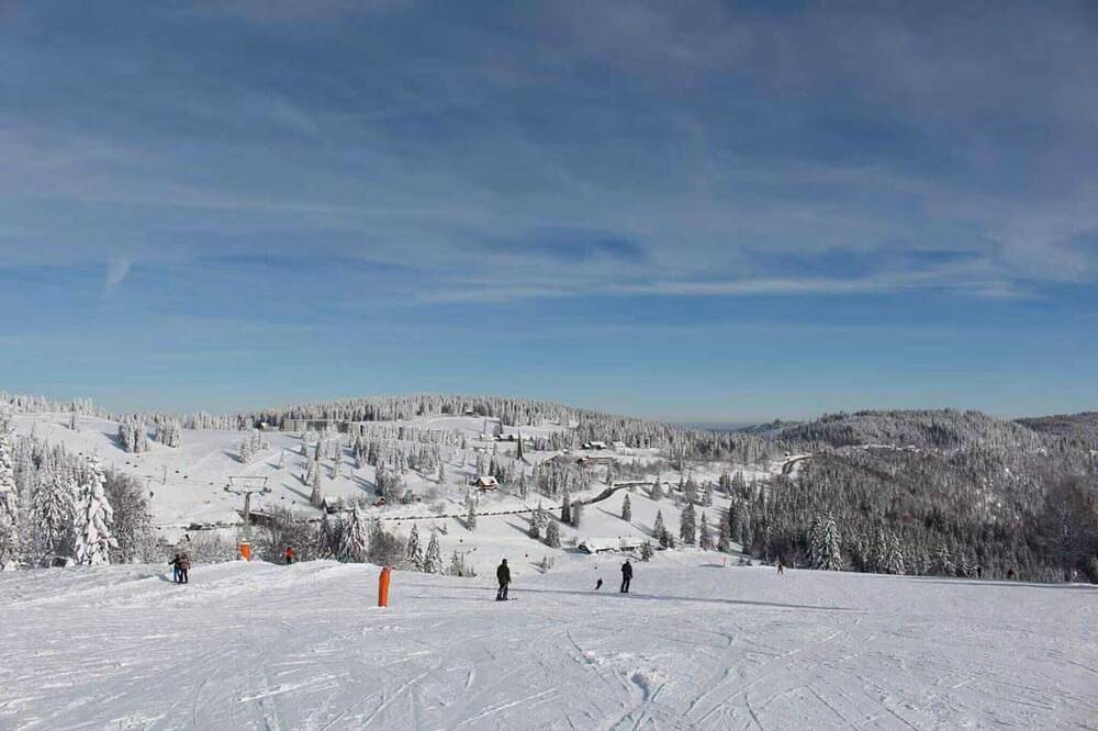 Ganze Wohnung, Sonniges Loft mit Bergblick in Elbingerode, Harzvorland