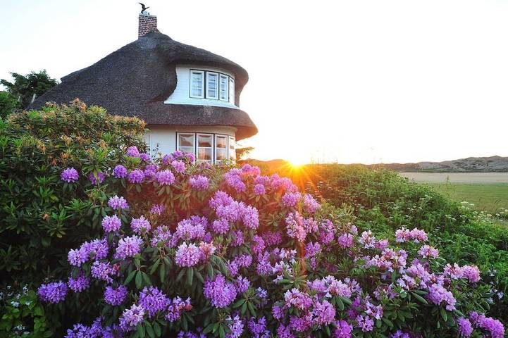 Bauernhof für 2 Personen, mit Terrasse, mit Haustier auf Sylt