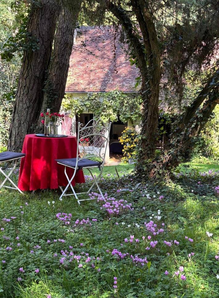 Bed and Breakfast 'La Bertiniere' with Shared Terrace, Shared Garden and Wi-Fi in Nazelles-Négron, Tours region