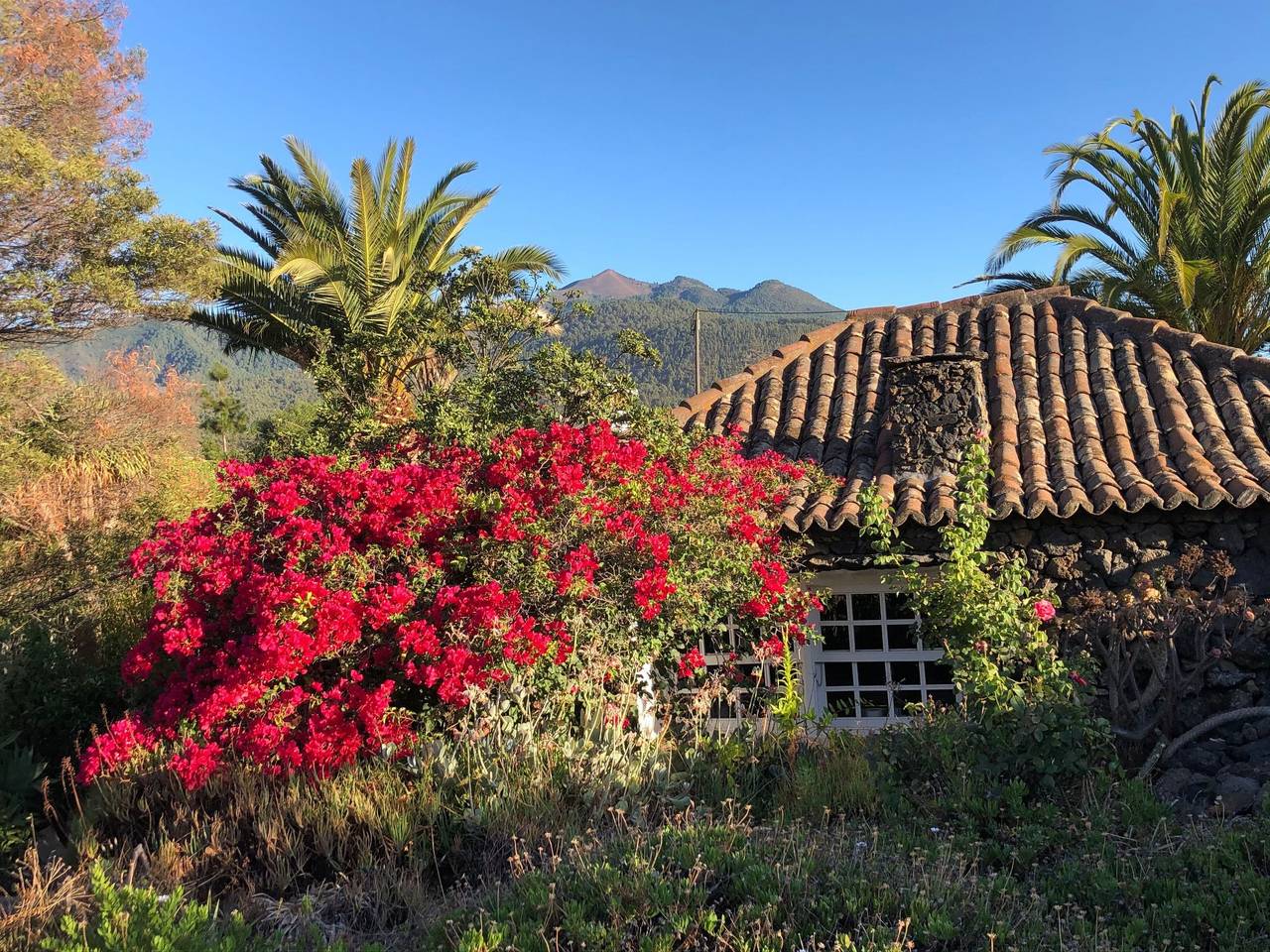 Las Tortugas in El Paso, La Palma Süd