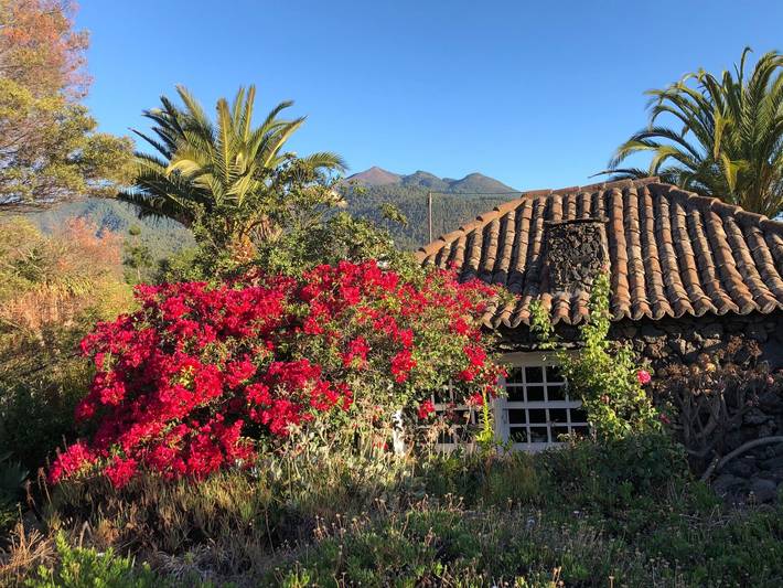 Las Tortugas in El Paso, La Palma Sud