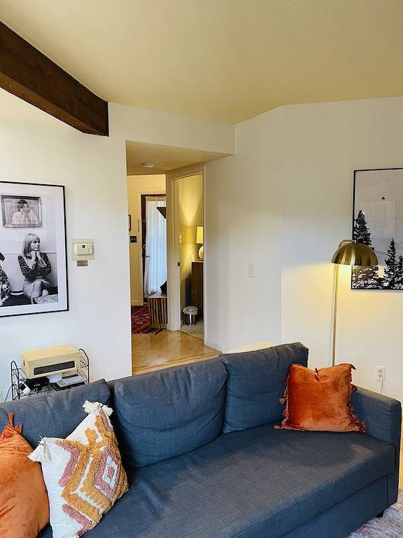 Ganze Wohnung, Gemütliche Wohnung im Herzen von Wintergreen! Haustierfreundlich. in Wintergreen, Nelson County