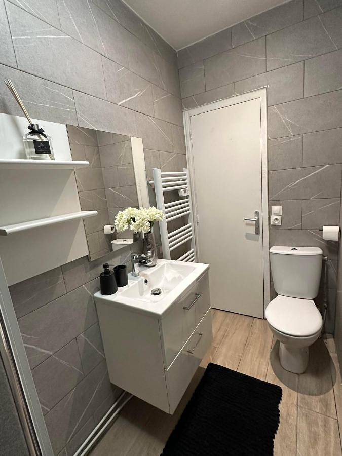 Gîte pour 3 personnes, avec terrasse à Poissy - 3