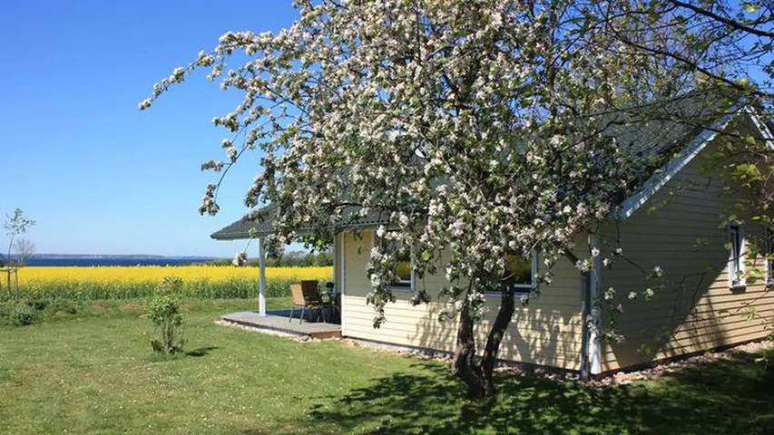 Ferienhaus für 4 Personen, mit Garten in Gelting - 3