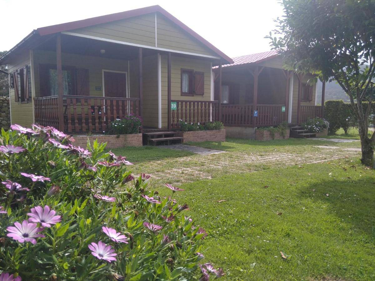Apartamento entero, Complejo la Regalina in Cadavedo, Valdés 