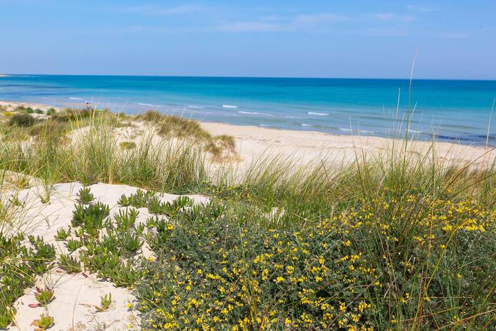 Gîte pour 6 personnes à Lecce - 3