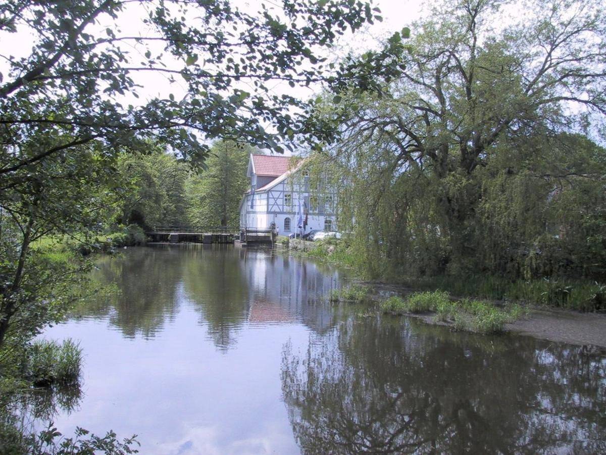 Ganze Wohnung, Mühlenteich in der Oldenstädter Wassermühle in Uelzen, Landkreis Uelzen