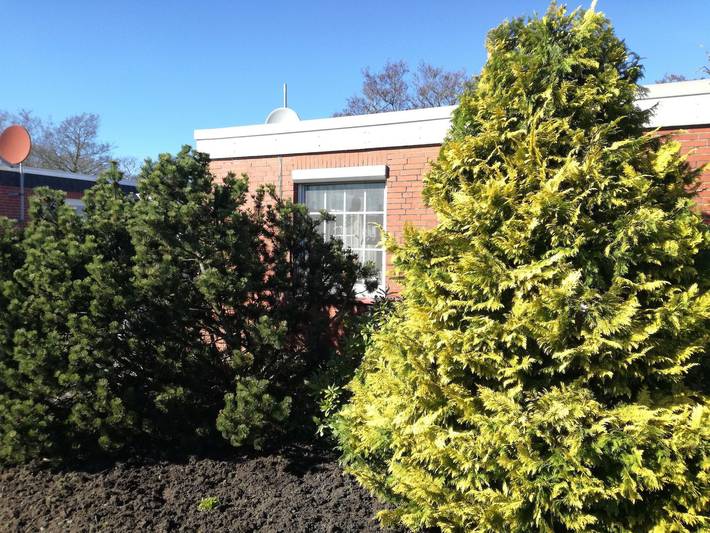 Ferienhaus für 3 Personen, mit Garten in Dornum - 3