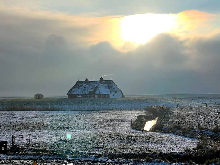 Ferienwohnung für 3 Personen, mit Seeblick und Garten auf den Halligen - 4