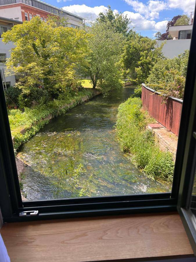 Ferienhaus für 2 Personen, mit Garten und Ausblick, mit Haustier in Altstadt (Erfurt) - 3