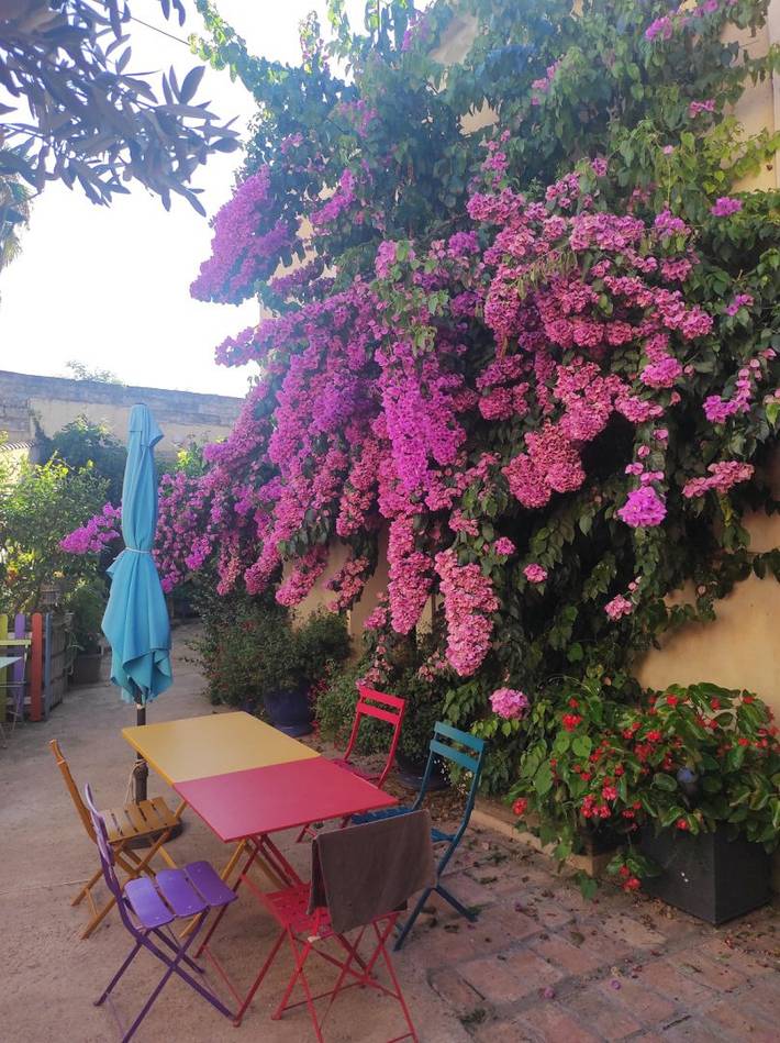 Appartement de vacances pour 4 personnes, avec piscine et jardin dans l' Hérault - 2