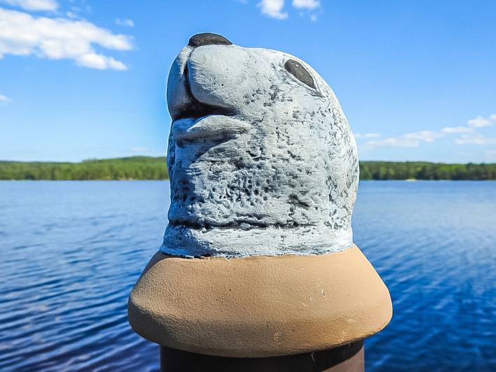 Pusula in Saarijärvi, Mittelfinnland