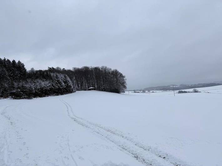 Ferienhaus für 6 Personen, mit Garten, mit Haustier in Lindlar - 3