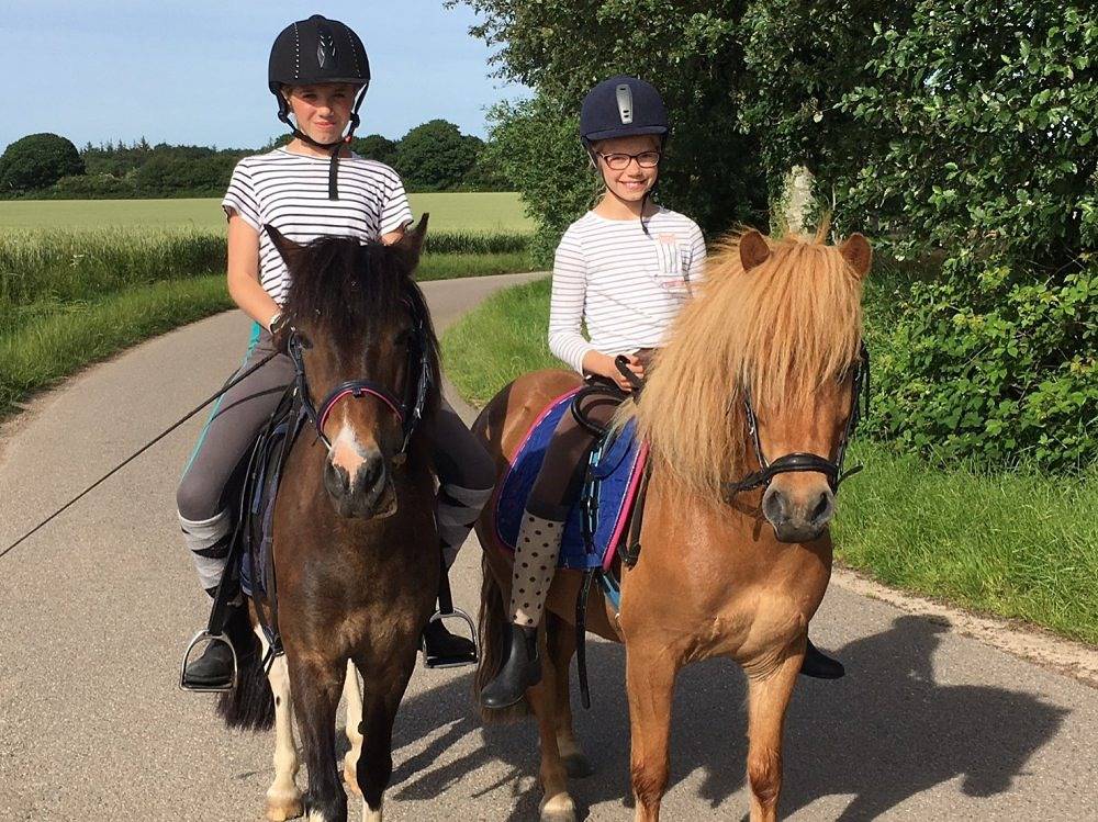 Gut Oestergaard - Kutscherhaus Iii in Steinberg, Schleswig-Flensburg