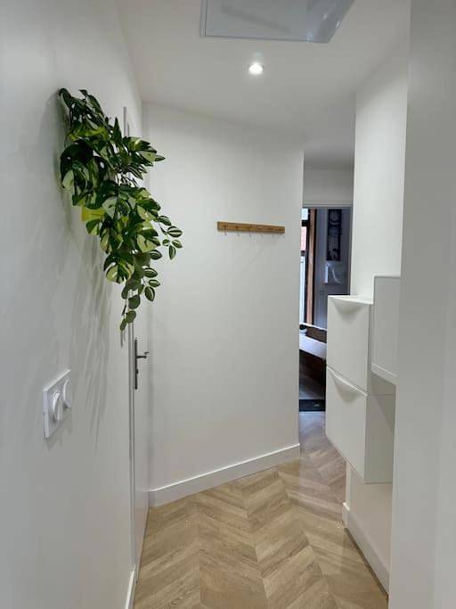 Gîte pour 4 personnes, avec terrasse à Ennevelin - 4