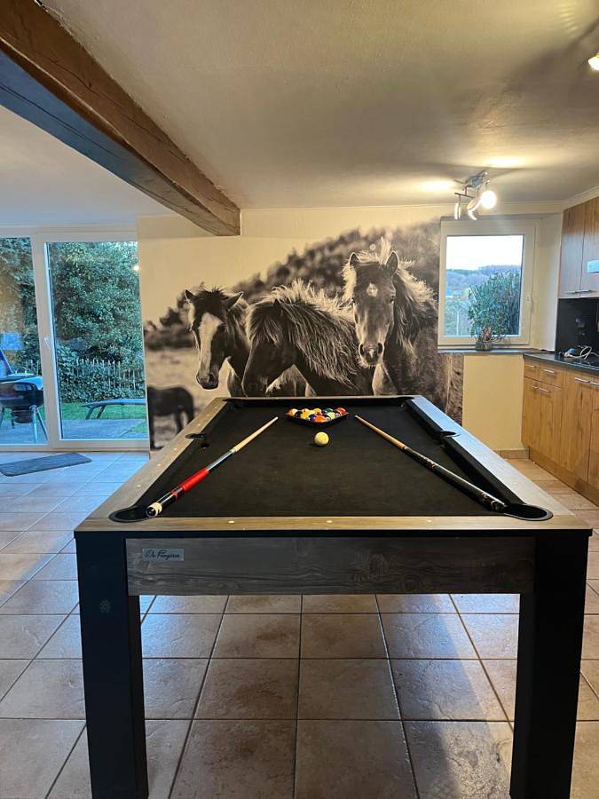 Location de vacances pour 8 personnes, avec vue et jardin dans Ondenval