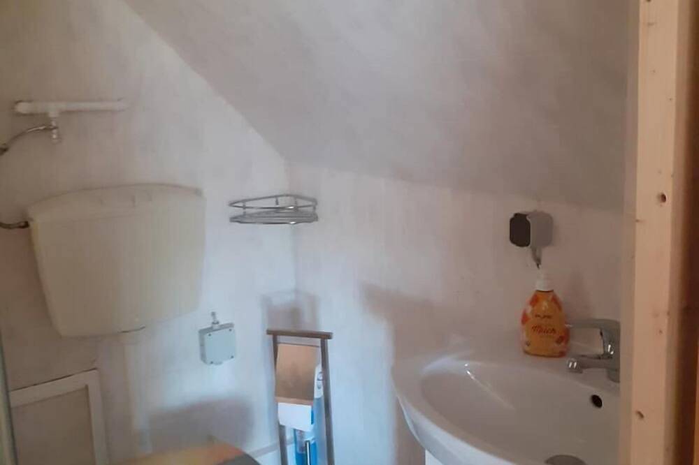 Ganze Wohnung, Fewo unter Reet am Wald Rügen in Hagen Auf Rügen, Lohme