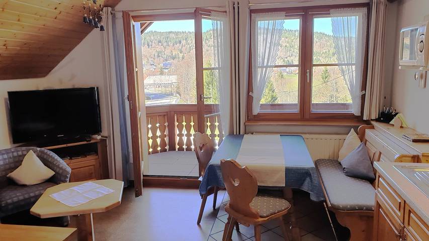Ganze Ferienwohnung, Fewo mit Balkon und herrlicher Fernsicht in Dachsberg, Südschwarzwald