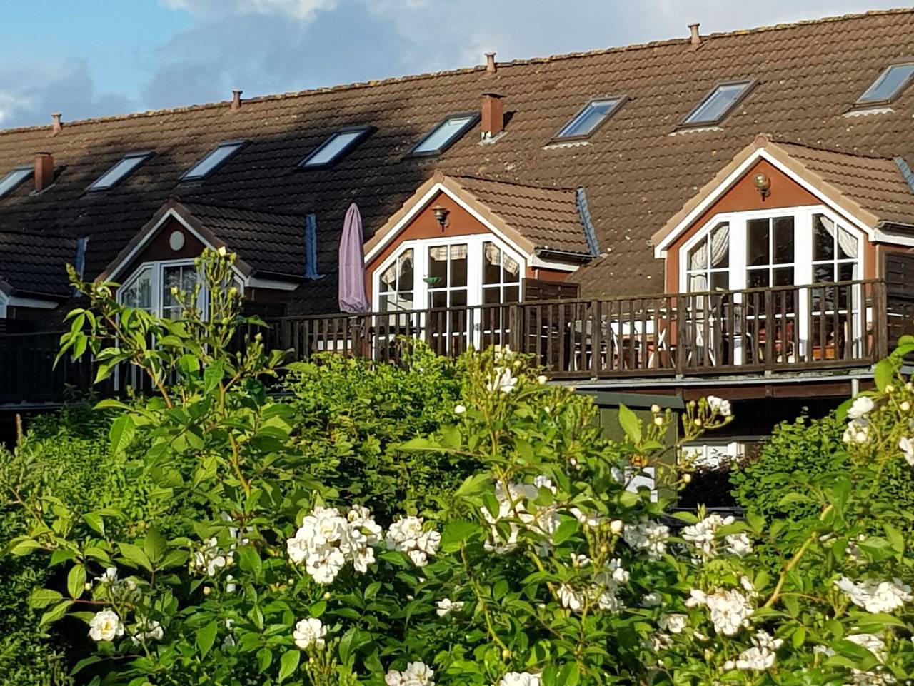 Ganze Ferienwohnung, Ferienwohnung Strandläuferin - - Ferienwohnung Strandläuferin in Schönhagen, Brodersby
