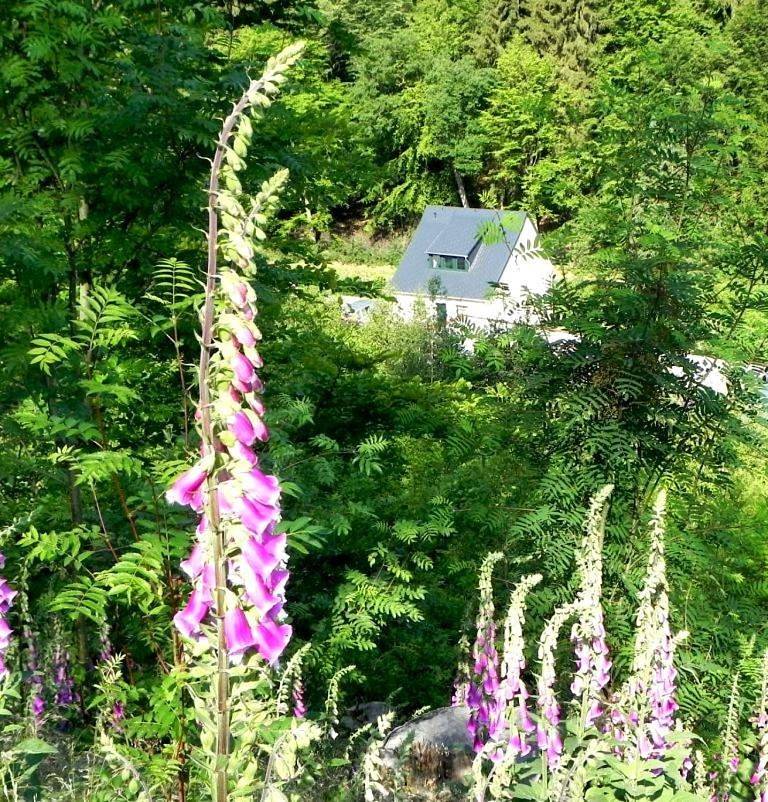 Ferienhaus Buschmuehle - Stolpen in Stolpen, Sächsische Schweiz