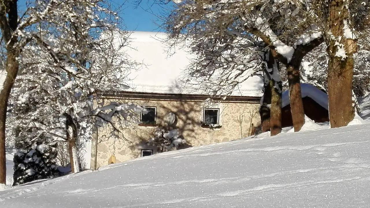 Ferienhaus für 6 Personen (90 m²) in Sankt Pankraz in Sankt Pankraz, Totes Gebirge