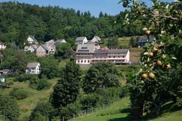 Hôtel pour 2 personnes, avec vue ainsi que jardin et terrasse à Hohrod