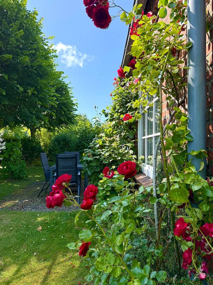 Ferienwohnung für 4 Personen, mit Terrasse, mit Haustier in Oldsum - 2