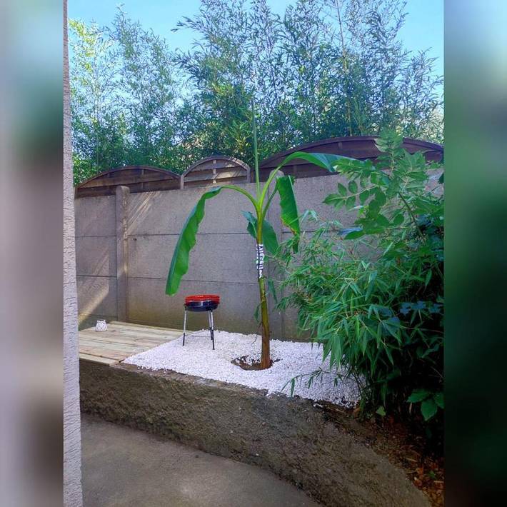 Gîte pour 3 personnes, avec terrasse à Morsang-sur-Orge - 2