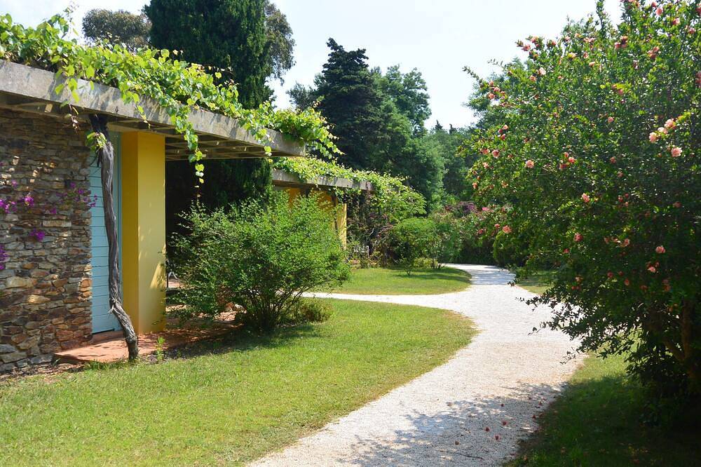Vaste Maison D'architecte Avec Jardin Arboré in Hyeres, Porquerolles