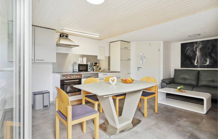 Ferienhaus für 4 Personen, mit Terrasse und Sauna, mit Haustier in Zeulenroda-Triebes - 4