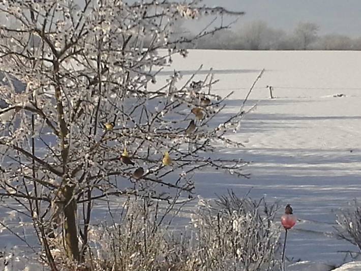 Ferienwohnung für 4 Personen, mit Ausblick und Garten sowie Terrasse, kinderfreundlich in Rabenkirchen-Faulück - 3