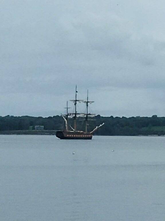 Fallen Sie in Ersparnisse! Charmante geräumige, private Suite am Meer in Little Compton, Newport County