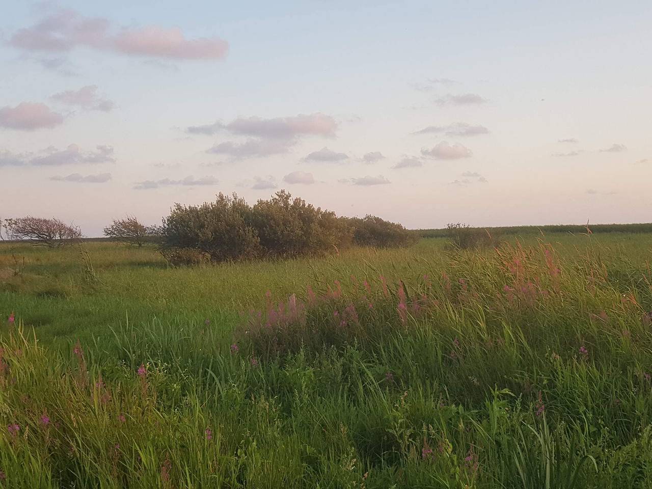 8 Personen Ferienhaus in Skjern in Stauning, Ringkøbing Fjord