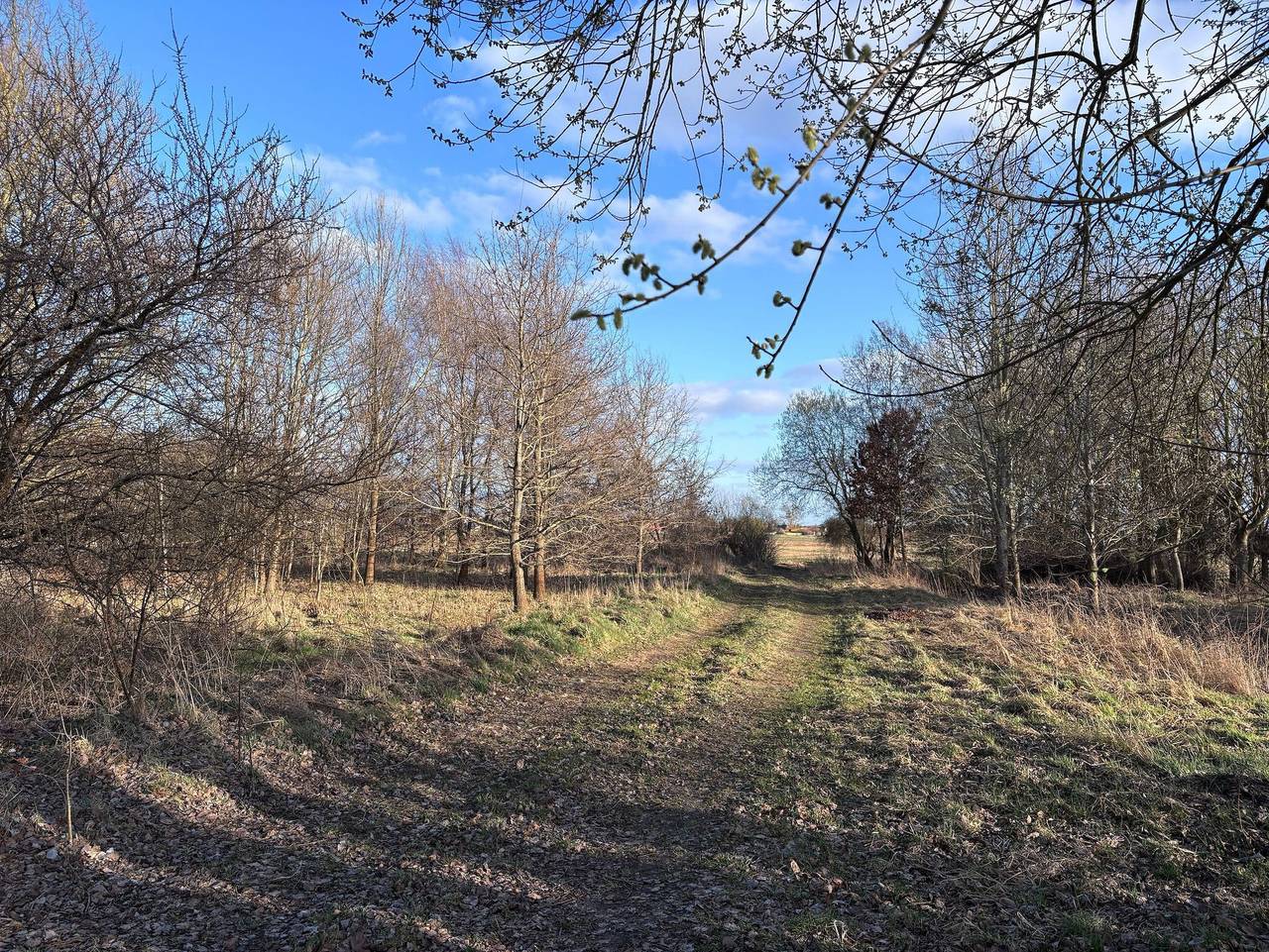 Ganze Ferienwohnung, Ferienwohnung Greifzu Pröger - Ferienwohnung Greifzu in Greifswald, Vorpommern Greifswald