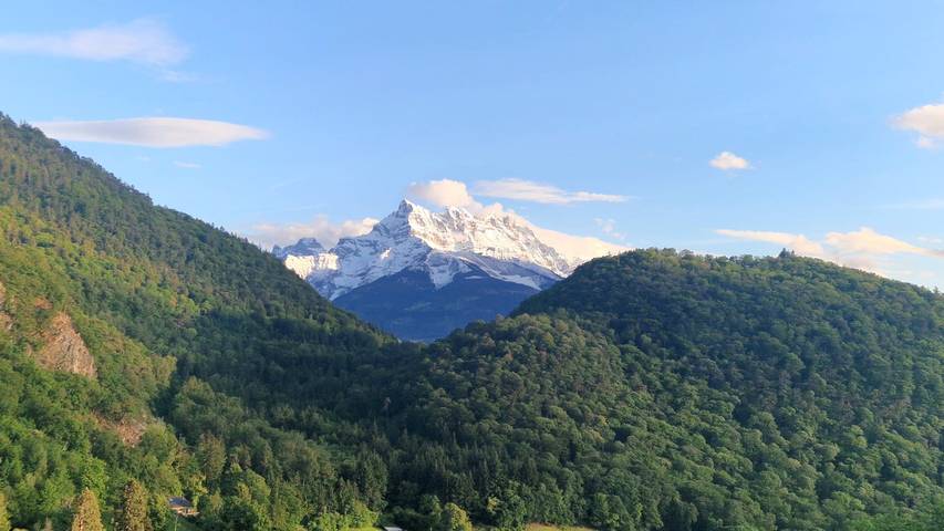 Le cabinet de curiosités de Natacha - Chambre in Aigle, Alpes Vaudoises