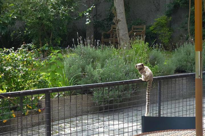Casas e apartamentos de temporada para 2 pessoas, com balcão e jardim em Ribeirão da Ilha