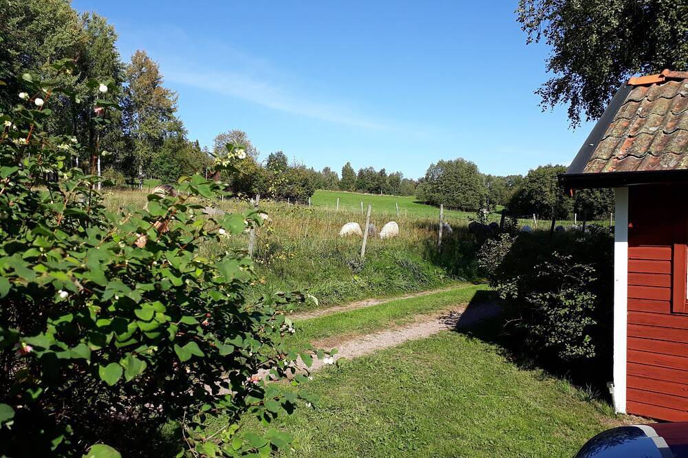 Dala cottage with stunning views near forest and lake in Falun, Dalarna