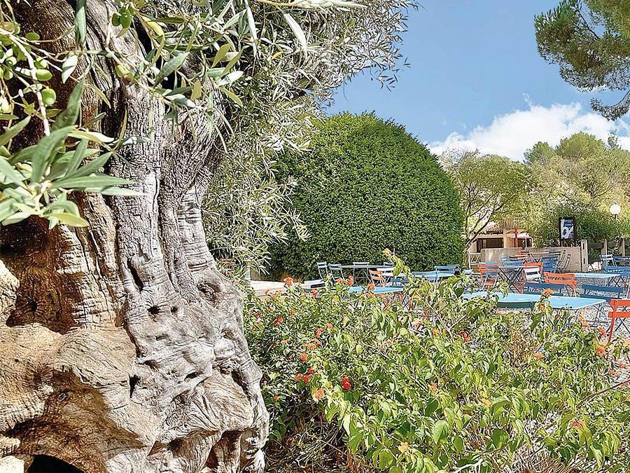 Club Belambra Les Terrasses de St Paul-de-Vence - Studio 2 personen - Essentiel Studio für 2 Personen mit Terrasse (*) in La Colle-sur-Loup, Mittelmeerküste (Frankreich)