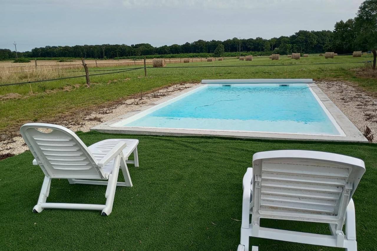 La Grande Métairie Notz Marafin in Saulnay, Région de Le Blanc