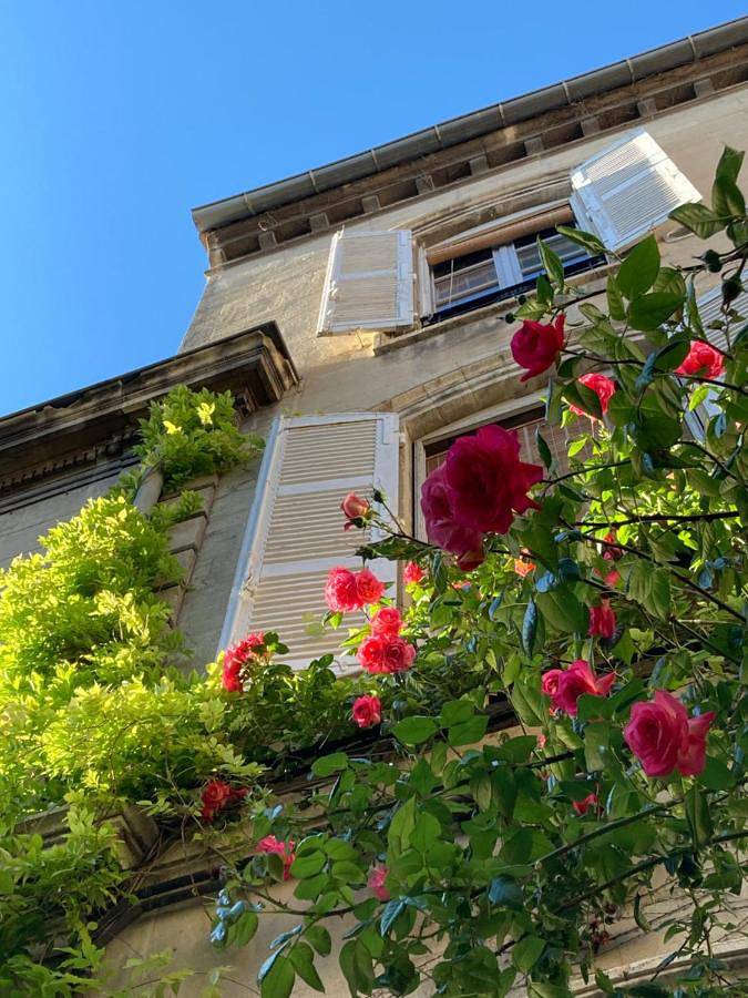 Maison d’hôte pour 2 personnes, avec jardin et vue à Avignon