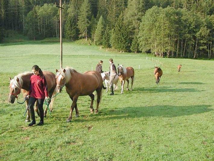 Hütte für 7 Personen, mit Ausblick und Garten, kinderfreundlich in Heiligenblut - 3