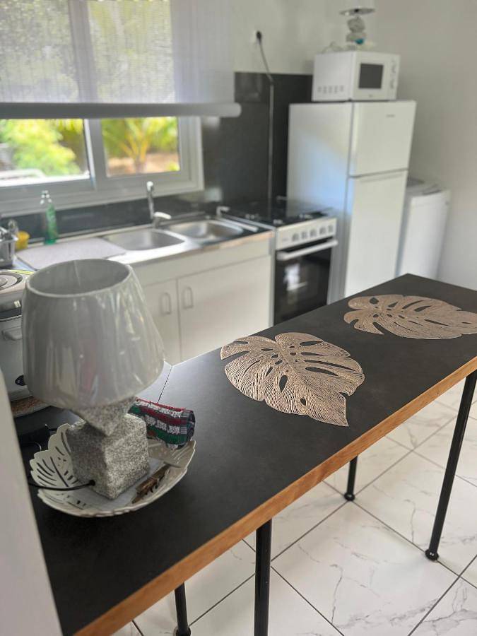 Gîte pour 3 personnes, avec jardin et terrasse dans Ha'apiti - 4