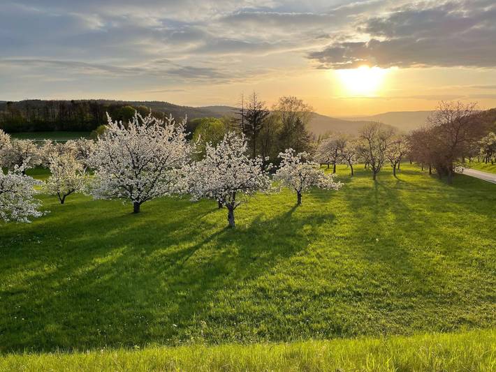 Ferienhaus für 6 Personen, mit Ausblick und Garten, kinderfreundlich in der Fränkische Schweiz - 4
