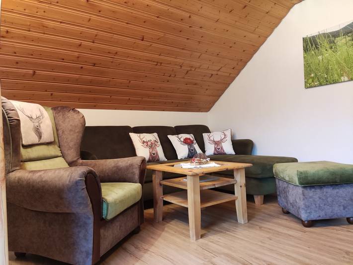 Ferienwohnung für 3 Personen, mit Garten, mit Haustier in Oberharmersbach - 2