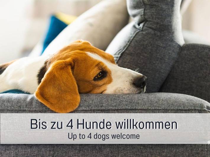 Ferienhaus für 17 Personen, mit Garten und Whirlpool sowie Sauna, kinderfreundlich in Kinzigtal - 4