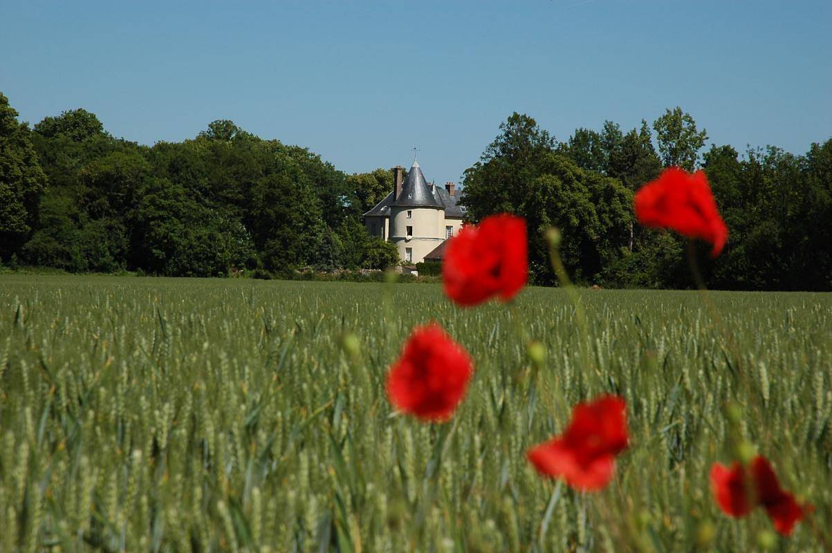 Photo : Hôtel