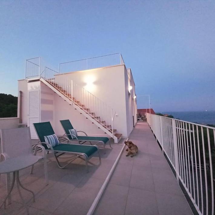 Maison d’hôte pour 2 personnes, avec terrasse et vue, animaux acceptés à Noli - 3