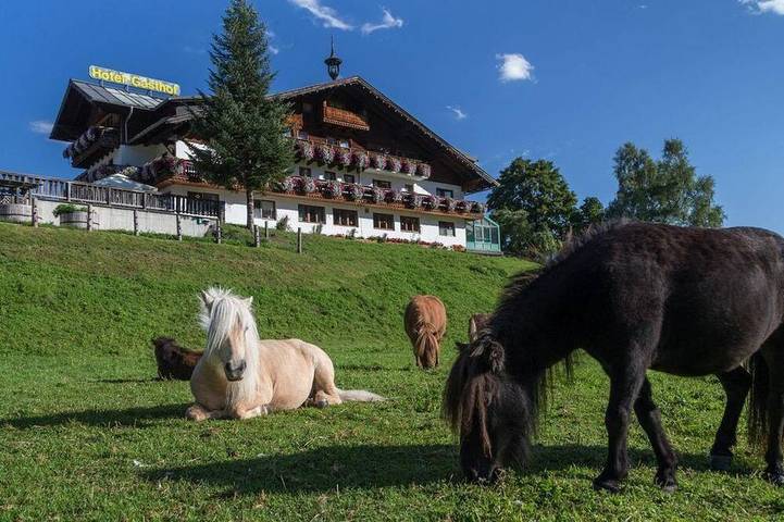 Chalet für 2 Personen, mit Garten, mit Haustier in Rohrmoos - 4